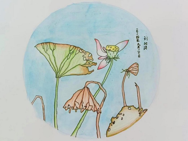 必赢76net线路(亚洲)唯一官方网站